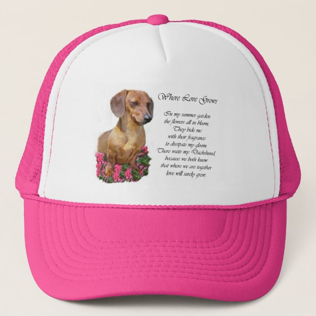 Boné Dachshund Lovers Gifts (Frente)