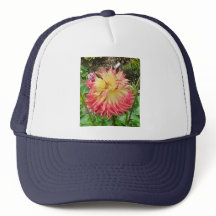 Dahlia Rosa e Amarelo