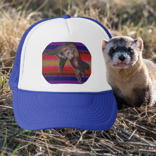 Boné Dançando Ferret