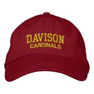 Boné Davison Michigan Segundo grau Baseball Hat