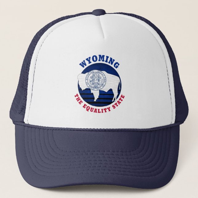 BONÉ DE CAMINHONEIRO COM A BANDEIRA DO ESTADO DA I (Frente)