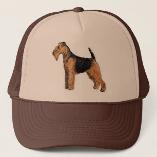 Boné de galês Terrier