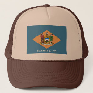 Boné Delaware Flag Hat