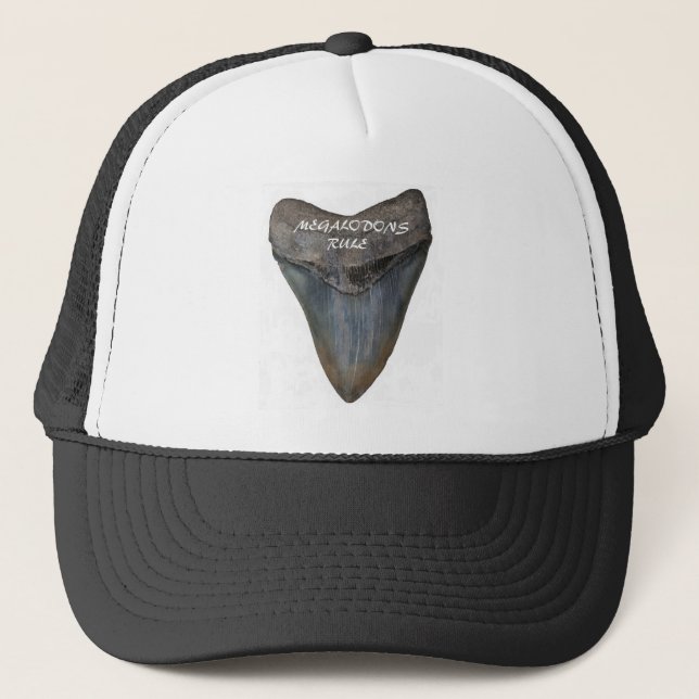 Boné Dente do tubarão de Megalodon (Frente)