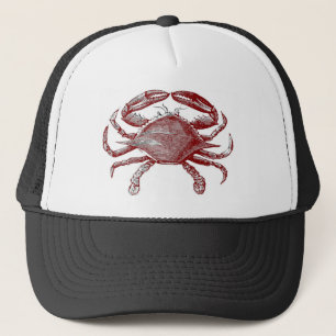 Boné Desenho do Crabby Red Pencil Crab