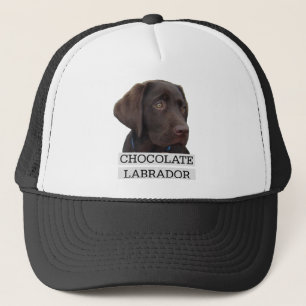 Boné Design original de Labrador do chocolate!