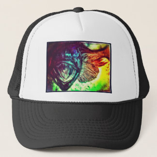 Boné Diários #4 da pesca