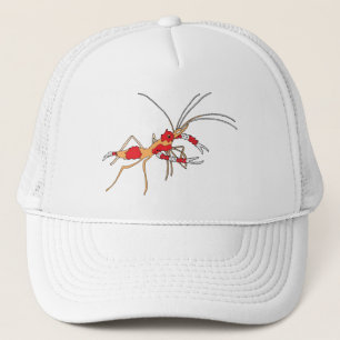 boné do camarão dos ekos
