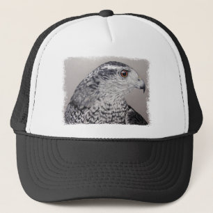 Boné do Goshawk