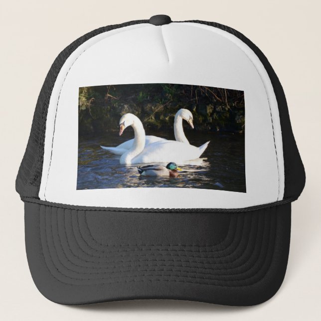 Boné Dois Cisnes E Um Pato (Frente)