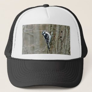 Boné Downy Woodpecker Items
