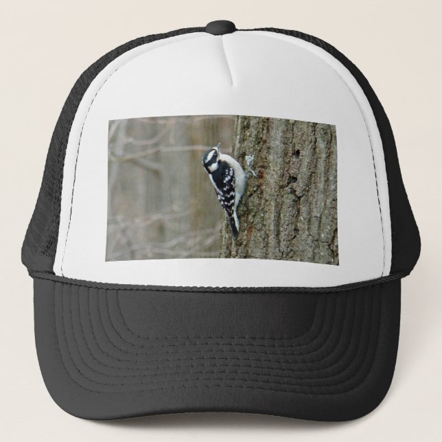 Boné Downy Woodpecker Items (Frente)