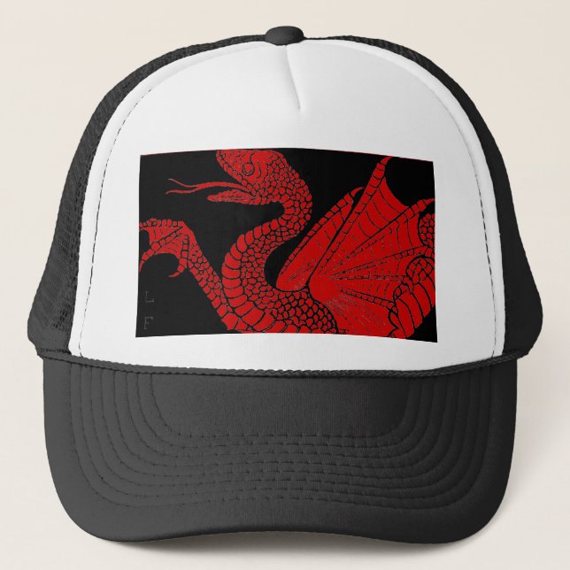 Boné Dragon Hat (Frente)