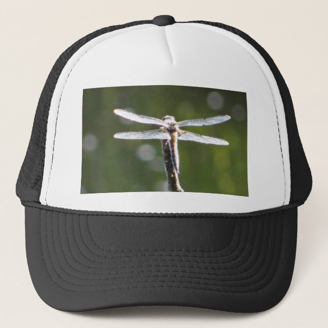 Boné Dragonfly de cinza clara (Frente)