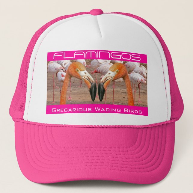 Boné Duas cabeças do flamingo - (chapéu) (Frente)