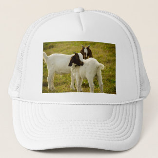 Boné Duas cabras