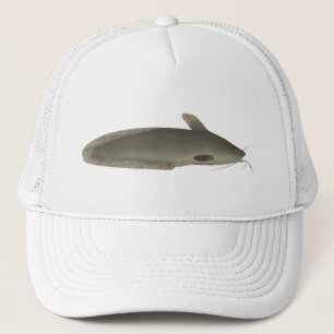 Boné Eeltail Catfish