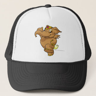 Boné Elephante Brown