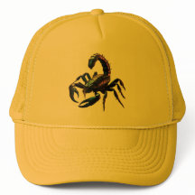 Escorpião Preto Venenoso