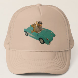 Boné Esquilos no chapéu do carro