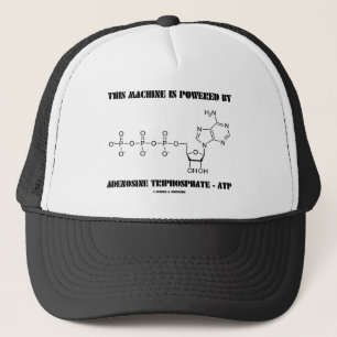Boné Esta máquina é psta pelo Triphosphate de adenosi