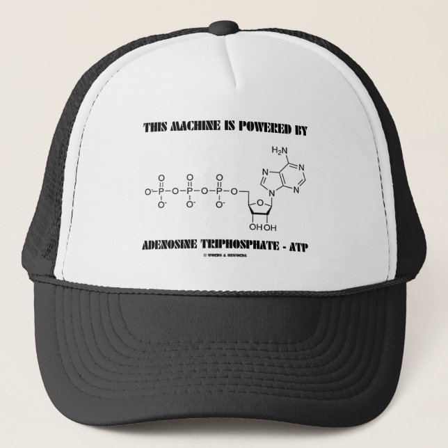 Boné Esta máquina é psta pelo Triphosphate de adenosina (Frente)