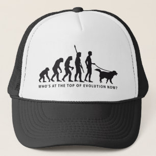 Boné evolution dog