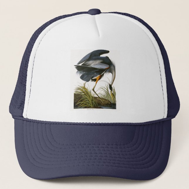 Boné Excelente Blue Heron, John James Audubon (Frente)