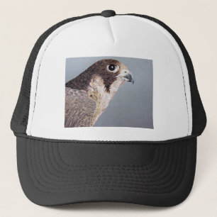 Boné Falcão de peregrino