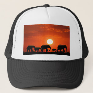 Boné Família elefante