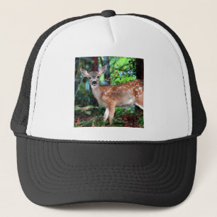 Boné Fawn