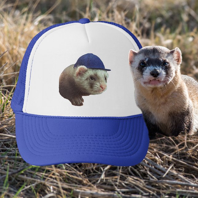 Boné Ferret Vestindo foto do chapéu azul (Ferret Wearing Blue Headgear Photo Trucker Hat)
