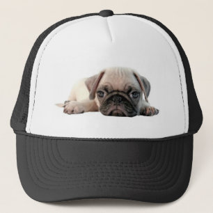 Boné filhote de cachorro adorável do pug