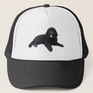 Boné Filhote de cachorro de Terra Nova