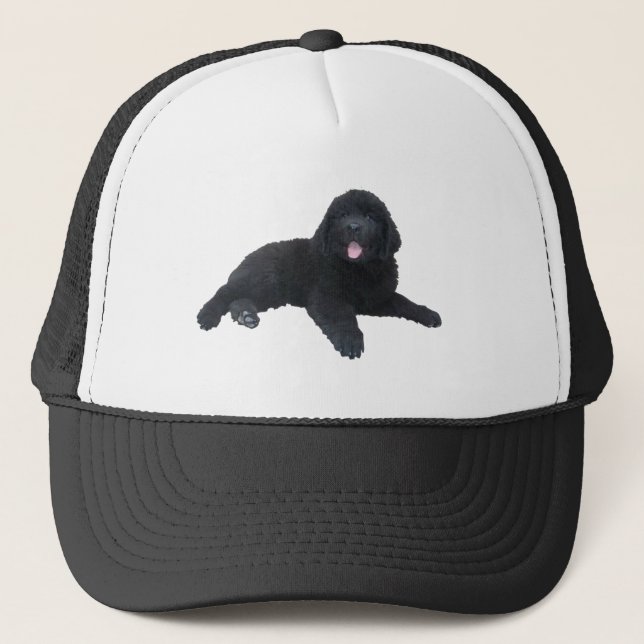 Boné Filhote de cachorro de Terra Nova (Frente)