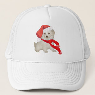 Boné Filhote de Poodle / Bichon Misturado Ajuda do Papa