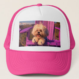 Boné Filhote de Shih Tzu Curioso e Fofo, Cachorro Relax