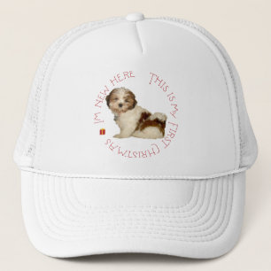 Boné Filhote de Shih Tzu Primeiro Natal