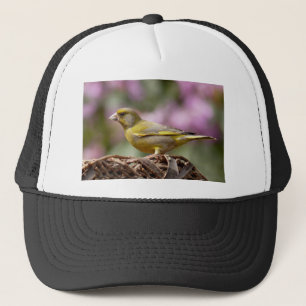 Boné Finch Verde