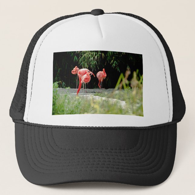 Boné flamingo (Frente)