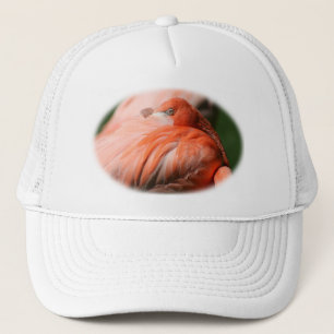 Boné Flamingo Hat