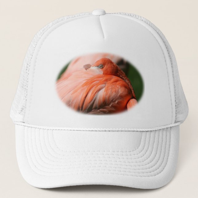 Boné Flamingo Hat (Frente)