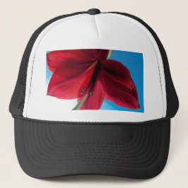 Boné Flor de Amarílis vermelha vibrante