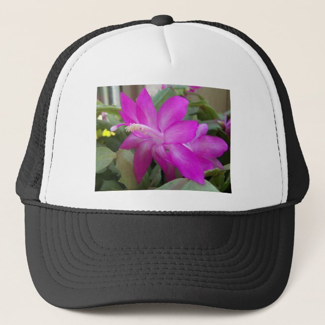Boné Flor de cacto de Natal rosa (Frente)