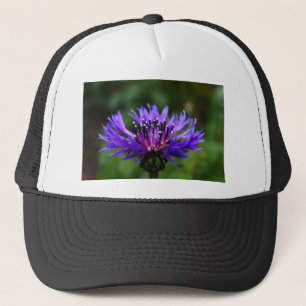 Boné Flor de Centaurea Azul Florescem Paz Amor Destino