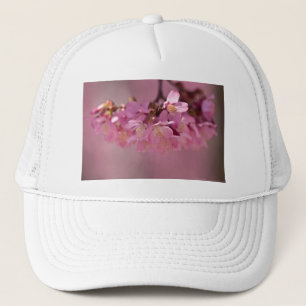 Boné Flor de Cerejeira Fonte Termal 2012 Roupas & Pre