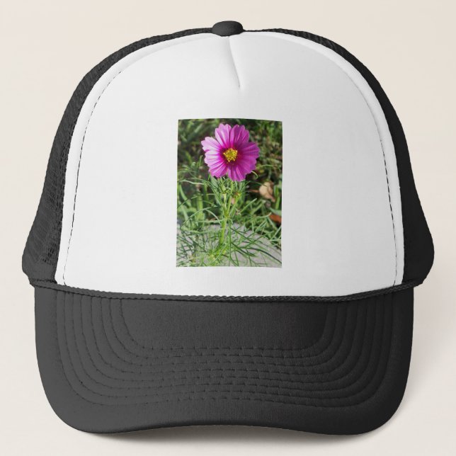 Boné Flor rosa escuro Cosmos Daisy (Frente)
