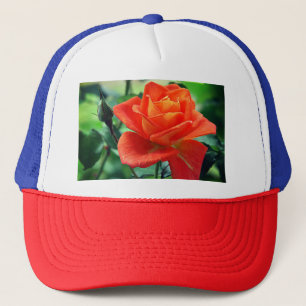Boné Flor Rosa Rosa Rosa-Rosa Natureza-46458