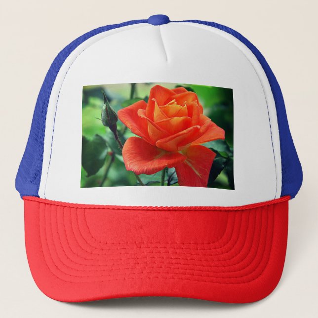 Boné Flor Rosa Rosa Rosa-Rosa Natureza-46458 (Frente)