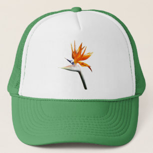 Boné Flor Tropical Laranja Ave do Paraíso